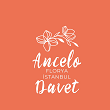 Ancelo Davet